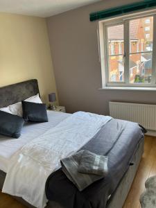巴塞尔顿Stylish 2 Bedroom Home In Essex的一间卧室配有一张带蓝色枕头的床和一扇窗户。
