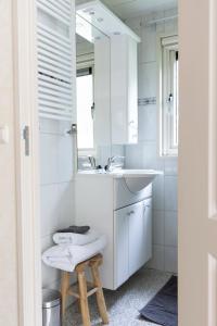 福尔登Chalet Enzerinck - rustig, comfortabel en knus chalet in het bos 2p的白色的浴室设有水槽和镜子