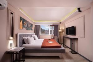 伊斯坦布尔哈比耶住所酒店的酒店客房,配有床和电视