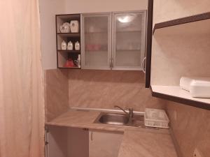 瓦尔纳Ivanovino Residence的一个带水槽和橱柜的小厨房