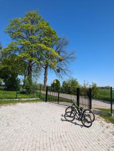 文戈热沃Ostoja Zielonki的一辆自行车停在黑栅栏旁边