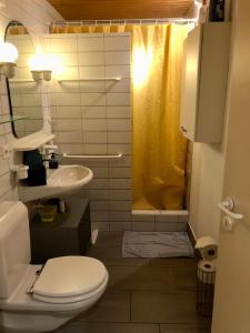 施特菲斯堡Bezauberndes Gartentiny的浴室配有卫生间、盥洗盆和淋浴。