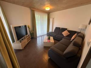 托波尔希卡Family Apartments Terme Topolšica - Pušpan的带沙发和平面电视的客厅
