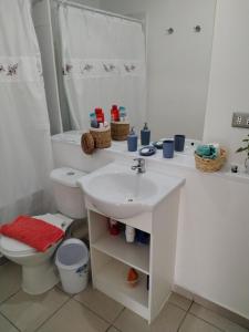 特木科Acogedor departamento en Temuco的白色的浴室设有水槽和卫生间。