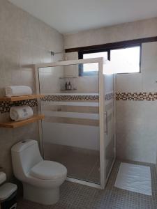 圣克里斯托瓦尔-德拉斯卡萨斯Hotel Ocho Barrios的一间带卫生间和玻璃淋浴间的浴室