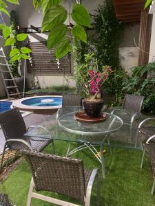 阿拉瓜伊纳Suítes flat mobiliados com área de lazer picina的庭院设有玻璃桌、椅子和盆栽植物