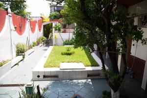 蒙特雷Privada Guadalupe的一座带花园的庭院,位于一座建筑中