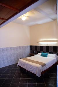 蒙特雷Privada Guadalupe的一间卧室,卧室内配有一张大床