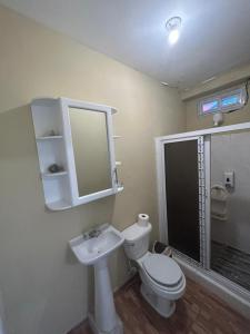 拉塞瓦VLR habitaciones的一间带卫生间、水槽和镜子的浴室