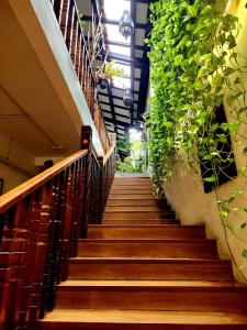 乔治市椰林寓精品酒店的一条种植了大量绿色植物的楼梯