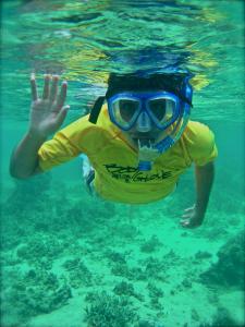 萨武萨武Sigasiga Sands Boutique Bungalows的水中戴着浮潜和面具的人