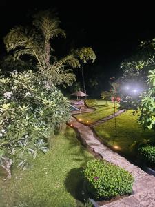 马林迪WHITE Nyumba的夜间公园,树木和小径