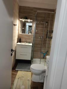 萨图恩Garsoniera Saturn的浴室配有卫生间、淋浴和盥洗盆。