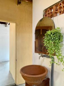Phú HiệpEcohost Đông Hòa的一间带木制水槽和盆栽的浴室