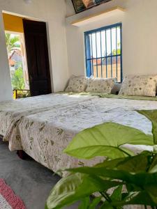 Phú HiệpEcohost Đông Hòa的一间卧室设有一张床和一个大窗户
