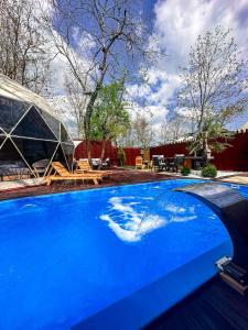 Noniva Resort Sapanca内部或周边的泳池