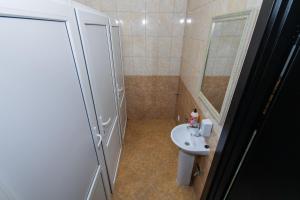 维什涅韦Seven的一间带水槽和淋浴的小浴室