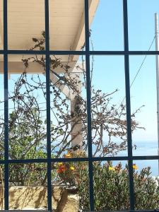 玛丽娜塞拉Azzurrosalento的享有植物景致的窗户