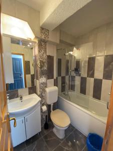 布德瓦库科酒店的浴室配有卫生间、盥洗盆和浴缸。