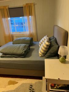 ValmenFamilievennlig bolig i Trysil的一张带枕头的床和一个窗户