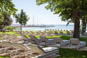 巴拉顿菲赖德LUA Resort - Adults only的坐在水边的草上一排椅子