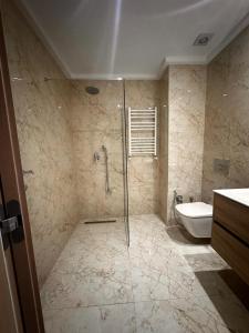 突尼斯joli appartement a jardin de Carthage的带淋浴、卫生间和盥洗盆的浴室