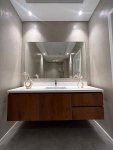 迪拜Halima Shared Housing - Female only的一间带水槽和大镜子的浴室