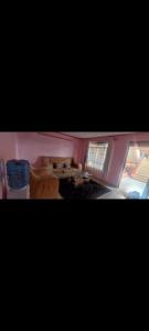 2 bedrooms furnished houses in Mwea的相册照片