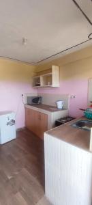 2 bedrooms furnished houses in Mwea的厨房设有粉红色的墙壁和白色的冰箱。