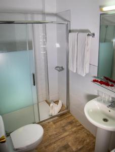 圣伊西德罗Hotel Aeropuerto Sur的带淋浴、卫生间和盥洗盆的浴室