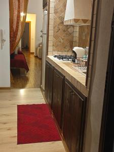 巴勒莫CASA MIKY的厨房配有柜台和红色地毯