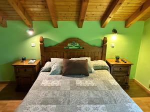 伊斯拉Apartamentos Rurales Las Dos Torres的一间卧室设有一张带绿色墙壁的大床