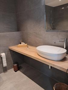 苏西Hotel Restaurant Croix Blanche的浴室设有木制柜台上的白色大水槽