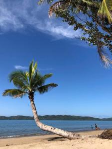 布桑加Magalong Villa at Holy Land in Busuanga的棕榈树坐在海滩上,与大海