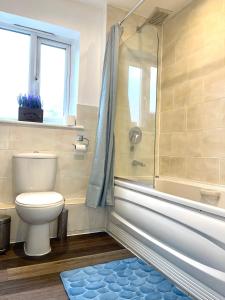 达格纳姆Forsyth Court Apartment - Two bedroom的一间带卫生间和淋浴的浴室以及蓝色地毯。