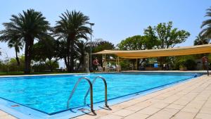 Kalia卡利亚基布兹酒店的一座带树冠和棕榈树的大型蓝色游泳池