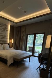 伯萨Swissotel Uludag Bursa的一间卧室设有一张大床和一个大窗户