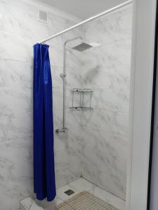 塞米伊Silk Way的一间带蓝色淋浴帘的淋浴的浴室