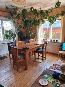 胡丁厄Unique homestay的用餐室配有桌椅和植物