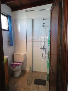 TigalateCasa Royal Casita 5 Tigalate的一间带卫生间和玻璃淋浴间的浴室