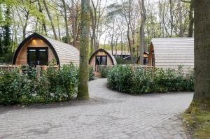 宁斯佩特Boslodges Veluwe的森林中的几座小房子
