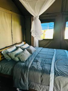 达瓦拉维Harmony Haven Eco Camp, Udawalawa的一间卧室配有一张带蓝色床单的床和一扇窗户。