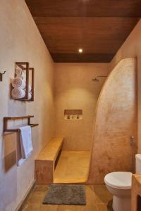 曼德姆Vaayu Kula mandrem的带淋浴、卫生间和盥洗盆的浴室