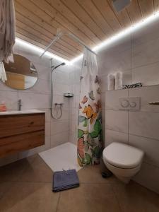 Scharnachtal 英格堡客栈的浴室配有卫生间、盥洗盆和淋浴。