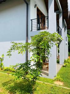 锡吉里亚Lion Gate Hotel Sigiriya的前面有一棵树的白色房子