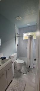 里弗维尤Cute Brand New Home near Tampa Bay-Vicenza Home的白色的浴室设有卫生间和淋浴。
