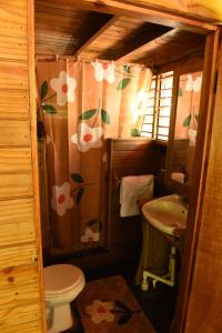 Somali Jungle Eco Lodge and Cabins的一间带卫生间和水槽的小浴室