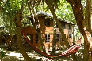 Somali Jungle Eco Lodge and Cabins的木屋前的吊床