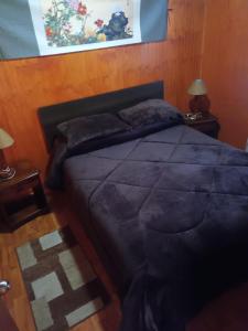 CabreroCabaña el ricky的一间卧室配有一张带蓝色棉被的床