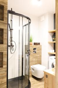 克拉科夫Strumienna Apartament的浴室设有玻璃淋浴间和卫生间